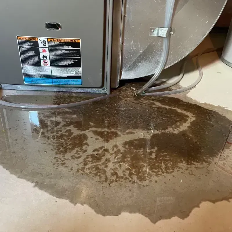 Appliance Leak Cleanup in Horatio, AR